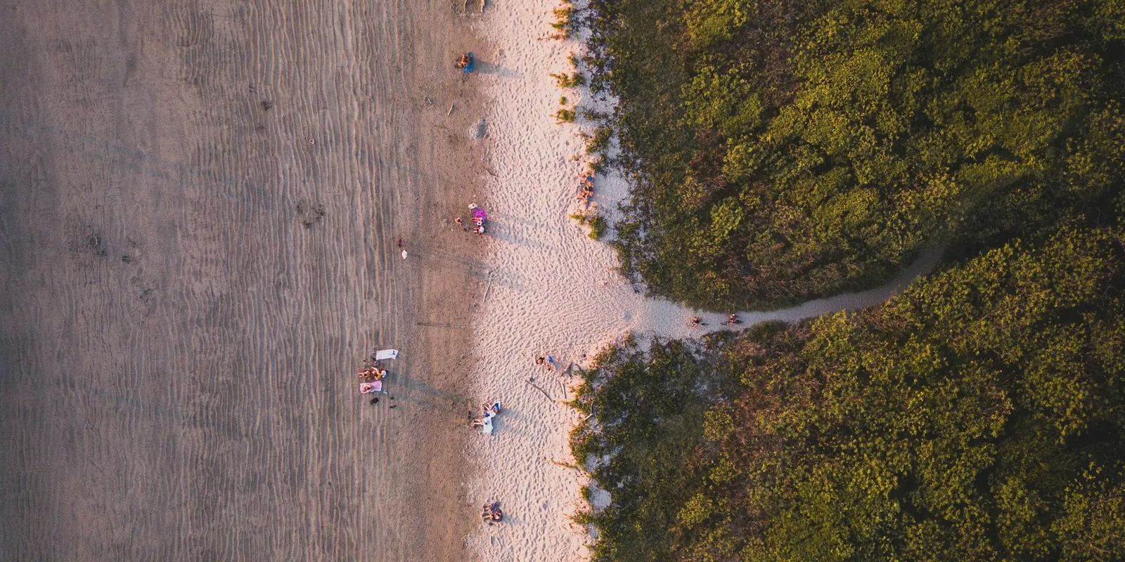 Playa Grande from directly above: sand, a beach path and the edge of the forest