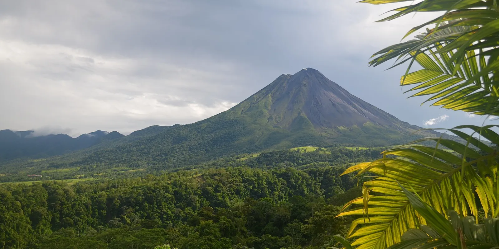 Arenal Volcano above the forest, framed by palm leaves