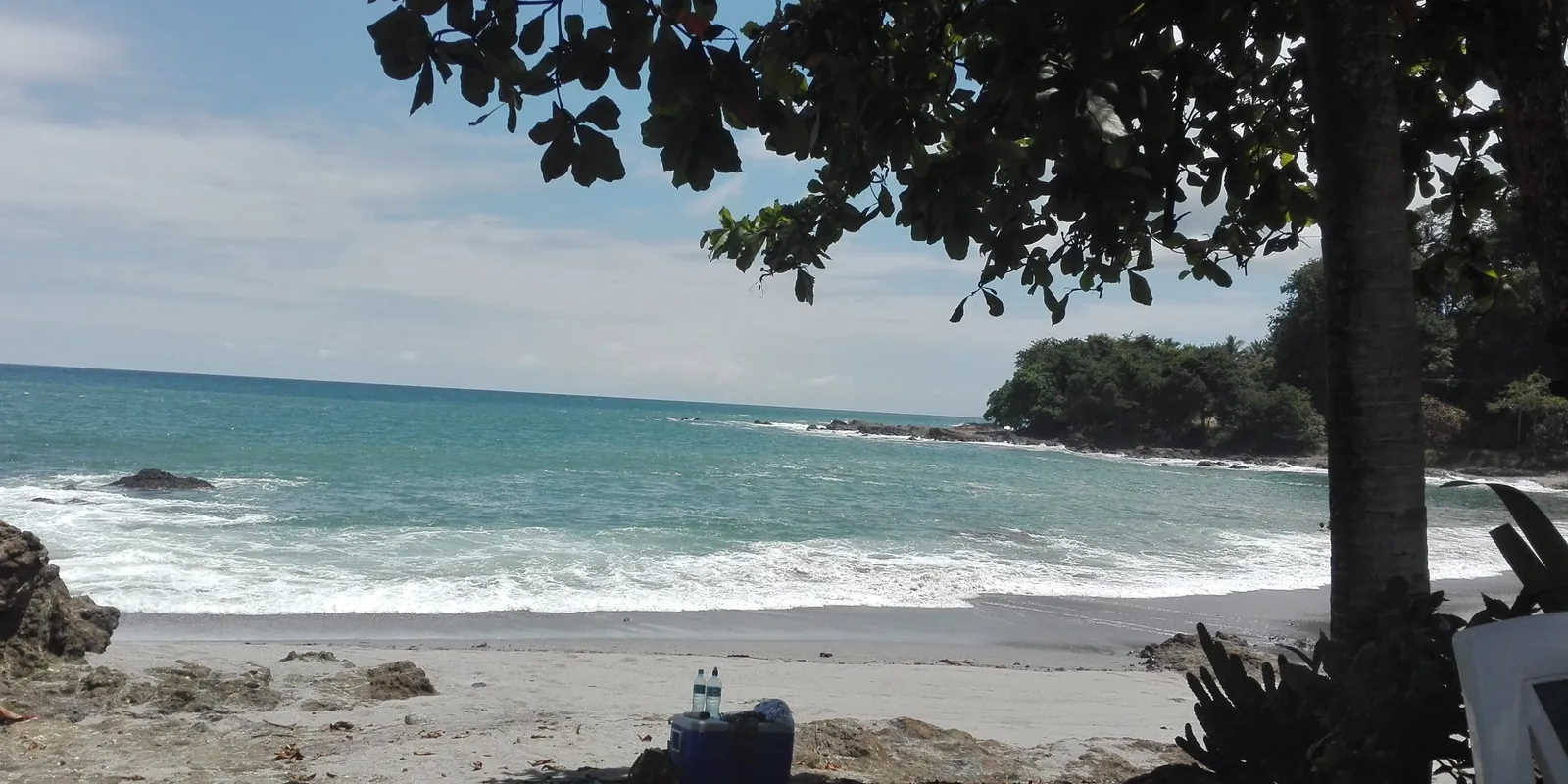 A beach framed by a tree, with waves breaking on the rocks