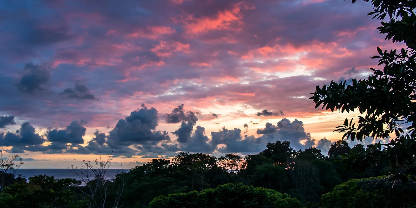 Sunset clouds over the forest, with the sea on the horizon