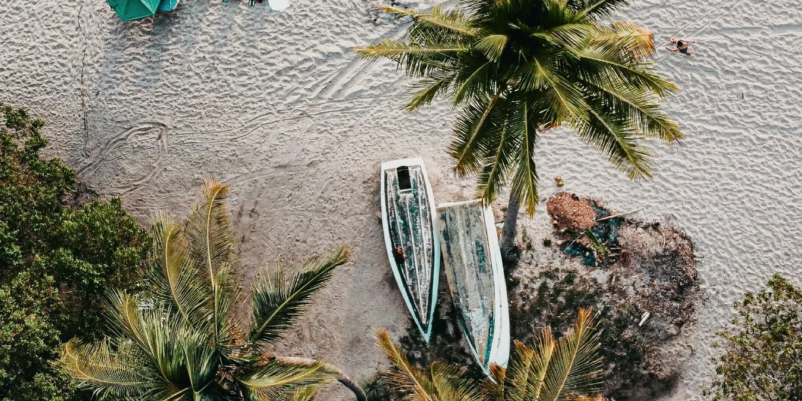 Fishing boats pulled up under palms on a white beach, seen from above
