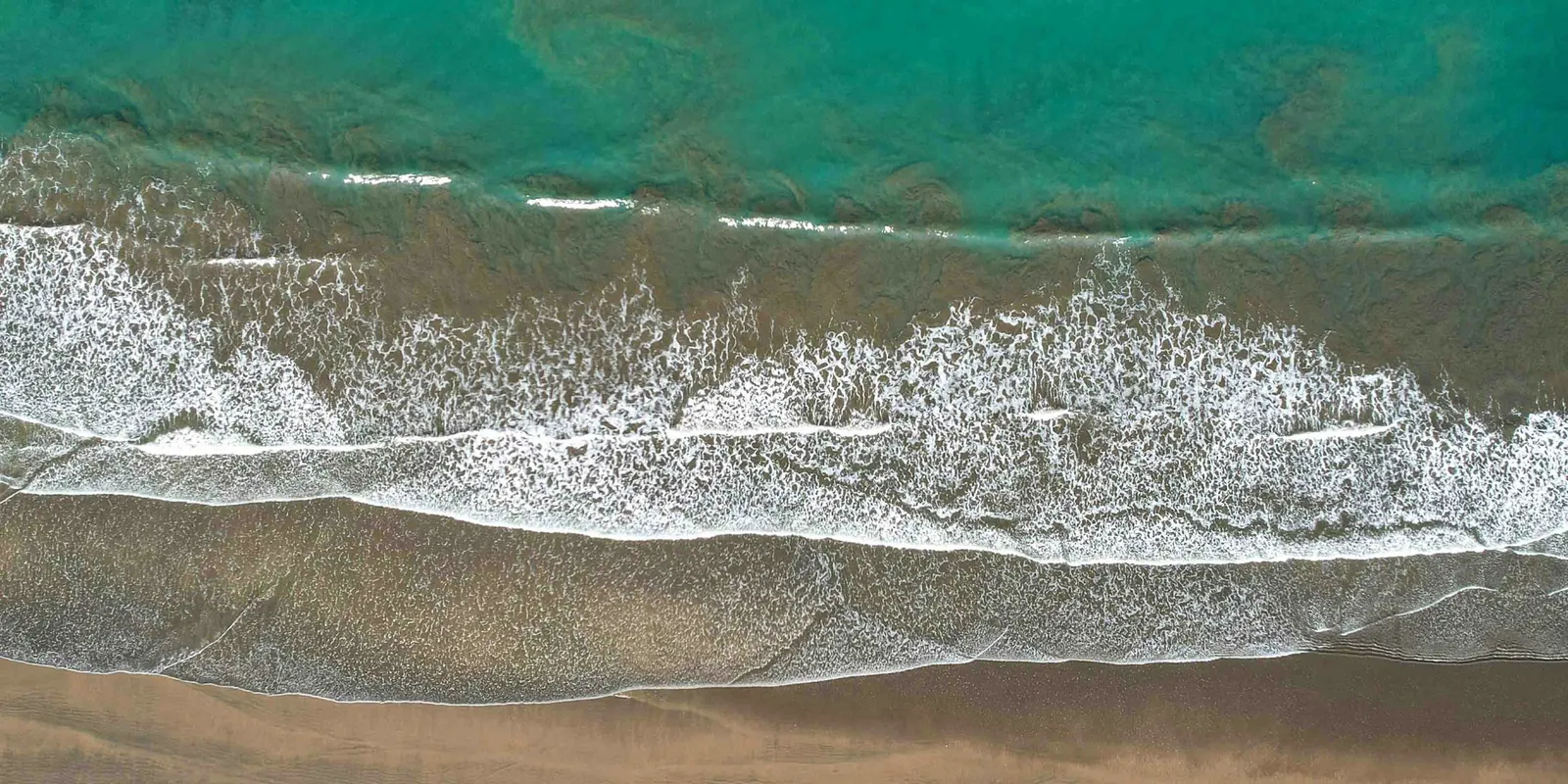 Surf, wet sand, dry sand and forest in bands, seen from directly above