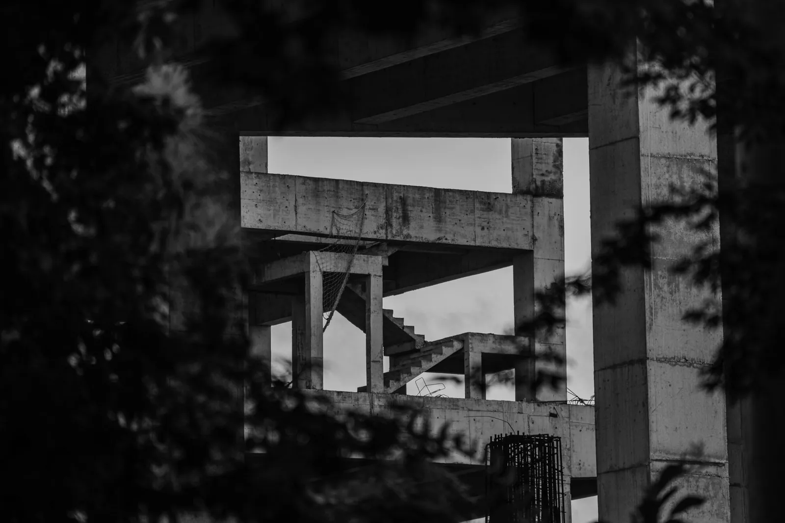 Una estructura de concreto vista entre el follaje, en blanco y negro